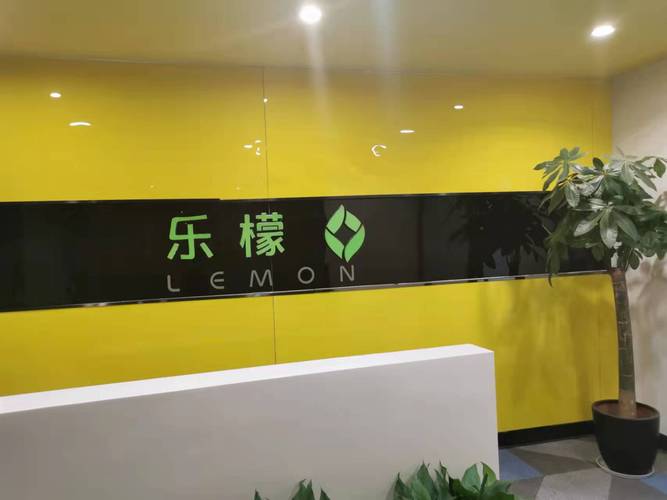 以軟件生態鑄核心競爭力——解析公司當前的經銷轉型之路